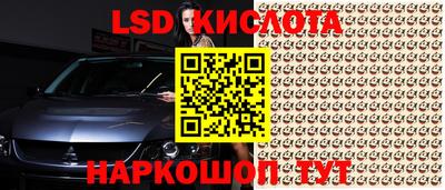 СК Туймазы