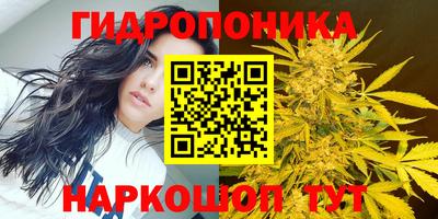 СК Туймазы