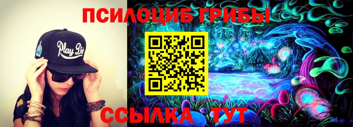 Псилоцибиновые грибы мухоморы  Вход с VPN  наркота  Шадринск  Галлюциногенные грибы Psilocybine cubensis 